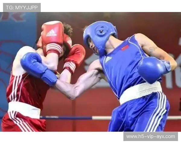 “重拳出击！四川省体育馆拳击赛场风云再起”